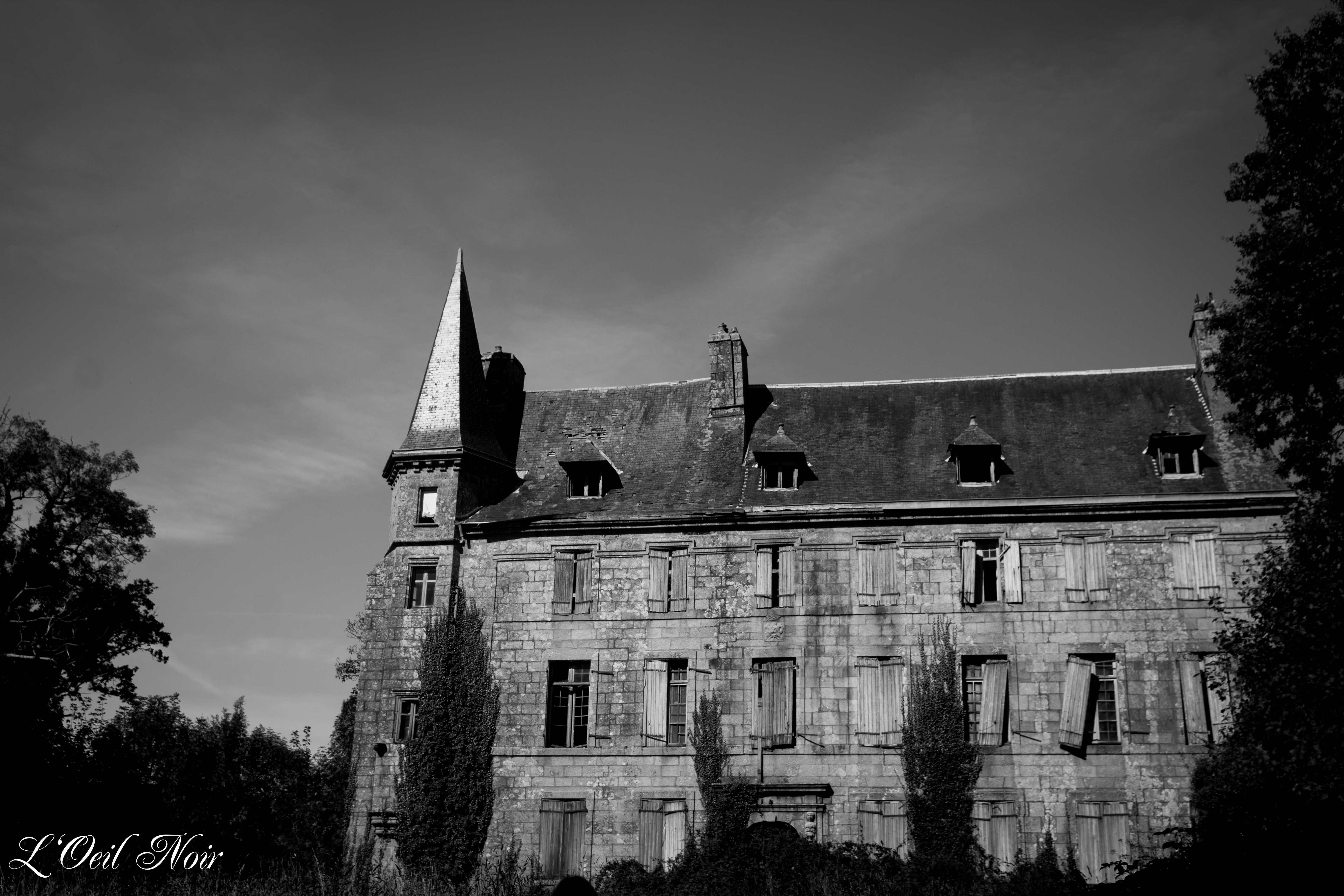 L' Oeil Noir Photographie